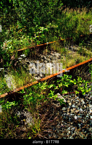 Long abandoned railroad tracks rust in a weed covered roadbed in Tacoma Washington Stock Photo