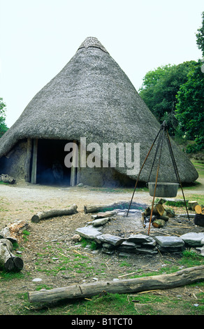 Celtic Iron Age roundhouse reconstructed on original foundations at Castell Henllys archaeological site, Pembrokeshire, Wales UK Stock Photo