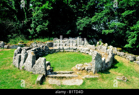Celtic Iron Age village of Din Lligwy near Moelfre, Anglesey, north Wales, UK. One of the circular stone hut foundations Stock Photo