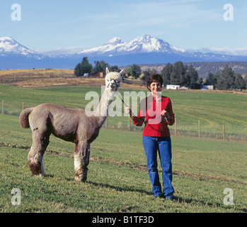 A woman holds a prize alpaca in a pasture near Terrebonne, Oregon.  Cascade Mountains are in the background Stock Photo