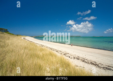 Old couple people persons walking along beautiful beach in summer sun sunshine on Tresco Island Isles of Scilly Cornwall England Stock Photo