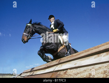 A fox hunter jumps a fence on an organized fox hunt by an Albuquerque hunting club on the high desert of the Manzano Mountains Stock Photo