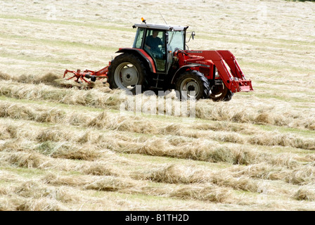 Tedding hay on a Cotswold farm Gloucestershire England Stock Photo Alamy