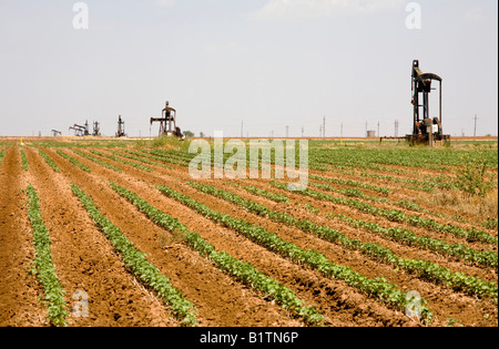 Pump on an oil field in the Panhandle of Texas Stock Photo