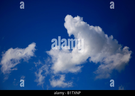 Cumulus Fractus clouds in a deep blue polarised sky England Britain UK Stock Photo