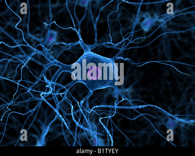 Human Brain and nerve cell anatomy in details. 3D illustration Stock ...