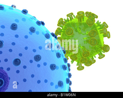 HI Virus infecting cell Stock Photo