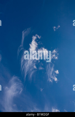 High level Cirrus clouds in early English summer Stock Photo