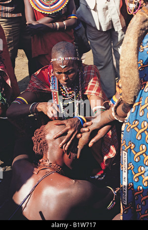 Maasai Moran having his head shaved by mother at Eunoto ceremony Southern Kenya Stock Photo