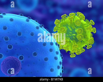 HI Virus infecting cell Stock Photo