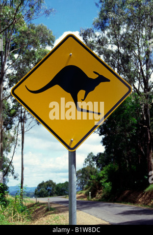 Kangaroo warning sign, Queensland, Australia Stock Photo