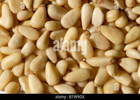 Pine nuts from the stone pine Pinus pinea as sold in health food shops Stock Photo