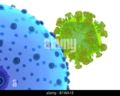 hi virus infecting cell Stock Photo