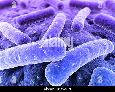 3d bacteria Stock Photo