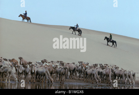MONGOLIA Gobi Desert Stock Photo