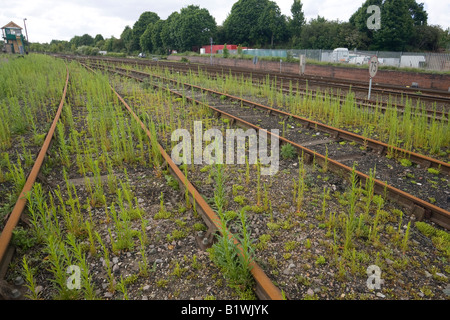 old rusted railway tracks with weeds growing Stock Photo