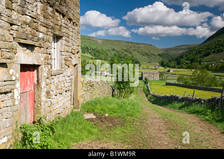 Stone Barns and Wildflower Meadows backed by Kisdon Hill, Near Muker, Swaledale, Yorkshire Dales National Park, England, UK Stock Photo