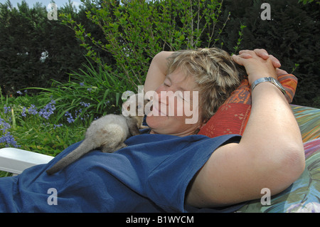 woman on deck chair with young beech marten / Martes foina Stock Photo