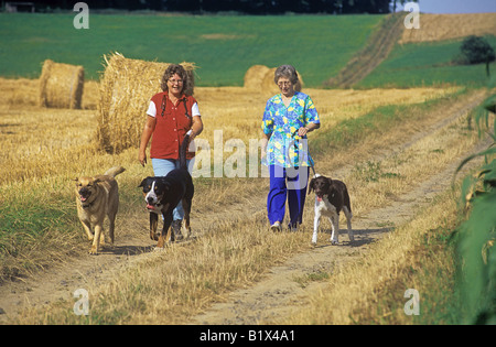 Two women walking three dogs on the beach Stock Photo - Alamy