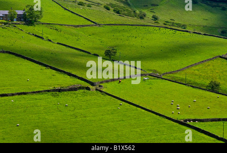 View of patchwork of fields near Tegg's Nose Country Park Macclesfield Cheshire in the Peak District National Park England UK Stock Photo