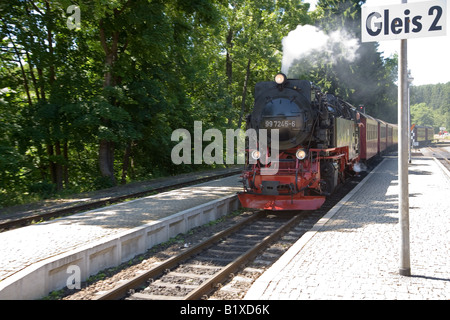 The Harz Narrow Gauge Railway at Drei Annen Hohne, Germany Stock Photo