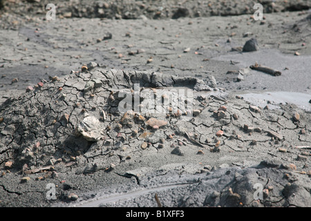 Mud volcano at baratang island,andaman,india Stock Photo