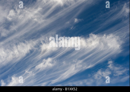 Cirrus Clouds in a bright blue sky in Scotland Stock Photo