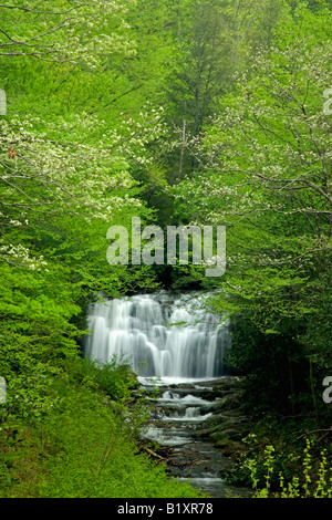 Meigs Falls Spring Great Smoky Mountains National Park Tn Stock Photo 