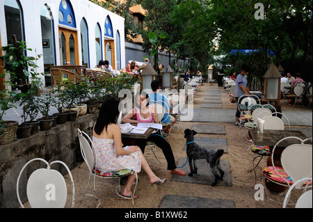 Two ladies sitting at a bar with a dog in Sanlitun bar streets in Beijing, China. 06-Jul-2008 Stock Photo