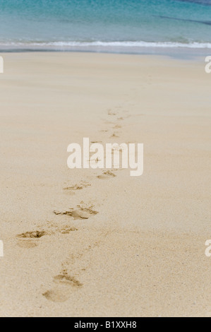 Footprints in the sand at South Harris, Outer Hebrides, Scotland Stock Photo