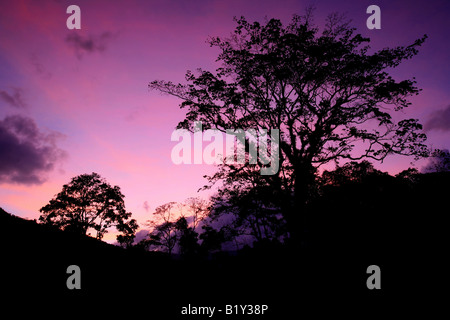 Red evening clouds over Cana field station in the Darien national park, Republic of Panama. Stock Photo