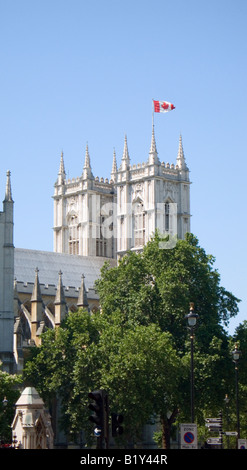 Westminster Abbey celebrations on July 1st 2008 Canada Day London England UK Stock Photo