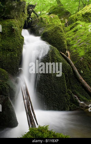 stockghyll force above ambleside in the lake district, england Stock Photo
