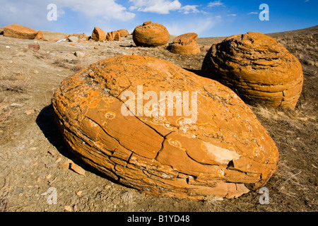 Sandstone concretions in Red Rock Coulee Natural Area, Alberta. Stock Photo