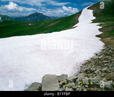 Snow bank, Alpine zone, Rocky Mountains Colorado USA, by Willard Clay/Dembinsky Photo Assoc Stock Photo