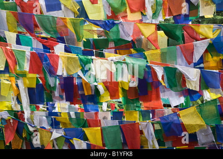 TIBETAN PRAYER FLAGS MCLEOD GANG DHARMSALA INDIA Stock Photo