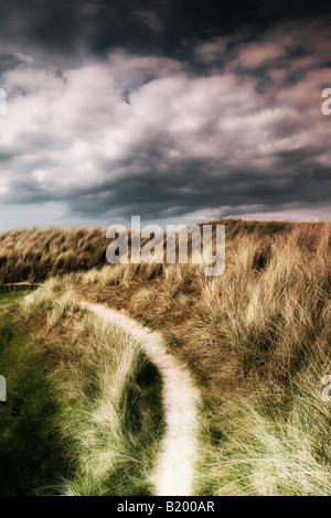 Path through dunes to the beach Stock Photo - Alamy