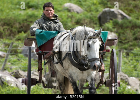 Horse, carriage and driver near the Gap of Dunloe, County Kerry, Ireland. Stock Photo