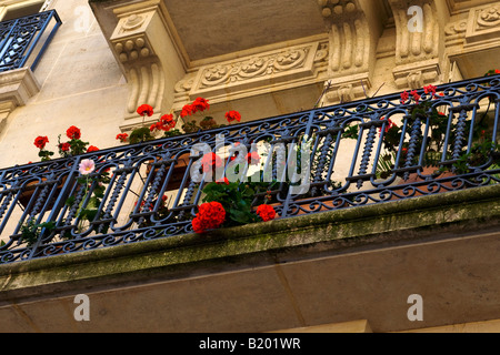 Balcony flowers hang from a iron railing in Paris, France. Stock Photo