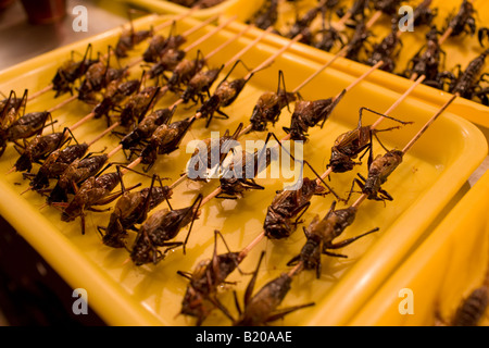 Deep fried grasshoppers for sale in the Night Market Wangfujing Street Beijing China Stock Photo
