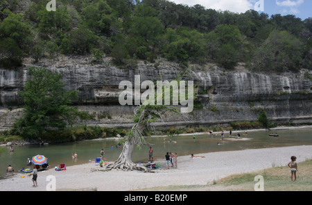 swimming Guadalupe River State Park Texas Stock Photo