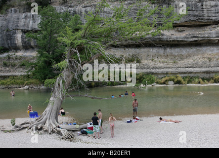 swimming Guadalupe River State Park Texas Stock Photo