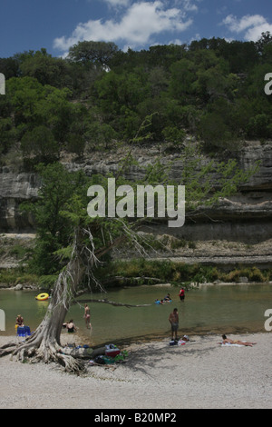 swimming Guadalupe River State Park Texas Stock Photo