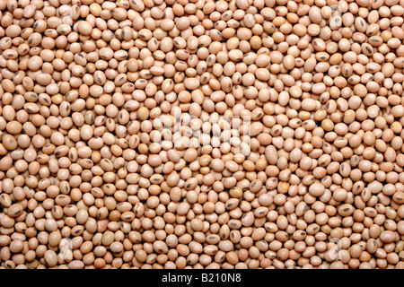 Piles of Soyabean Stock Photo