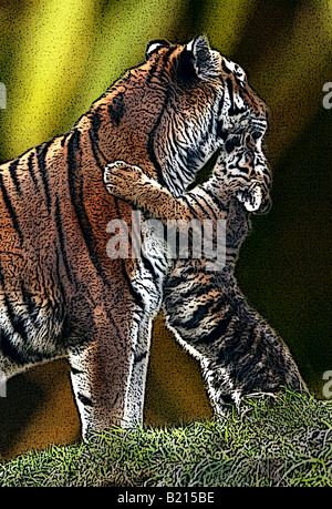 'The Kiss' - Amur Tiger, Mother and Cub Stock Photo