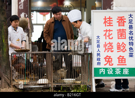 Chinese chefs with customer choosing a chicken to cook in restaurant at Bao Ding near Chongqing China Stock Photo