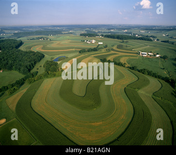 Contour strip farming corn and alfalfa hay Stock Photo - Alamy
