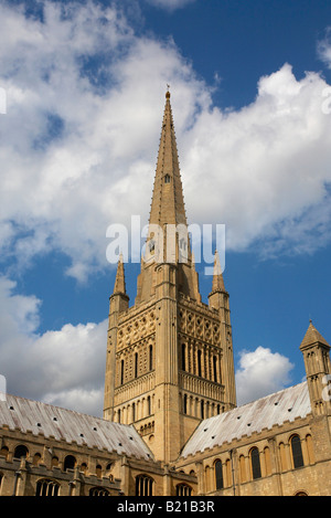 Norwich Cathedral on a bright summer s day Stock Photo
