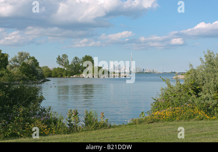 View of Toronto downtown skyline from waterfront meadow in Humber Bay Stock Photo