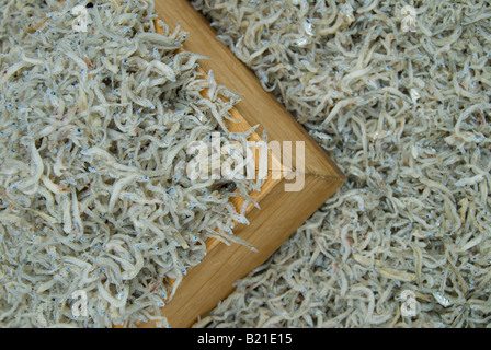 Dried whitebait for sale at a stall in Japan. Whitebait is used in Japan in a number of dishes including as a topping for rice. Stock Photo